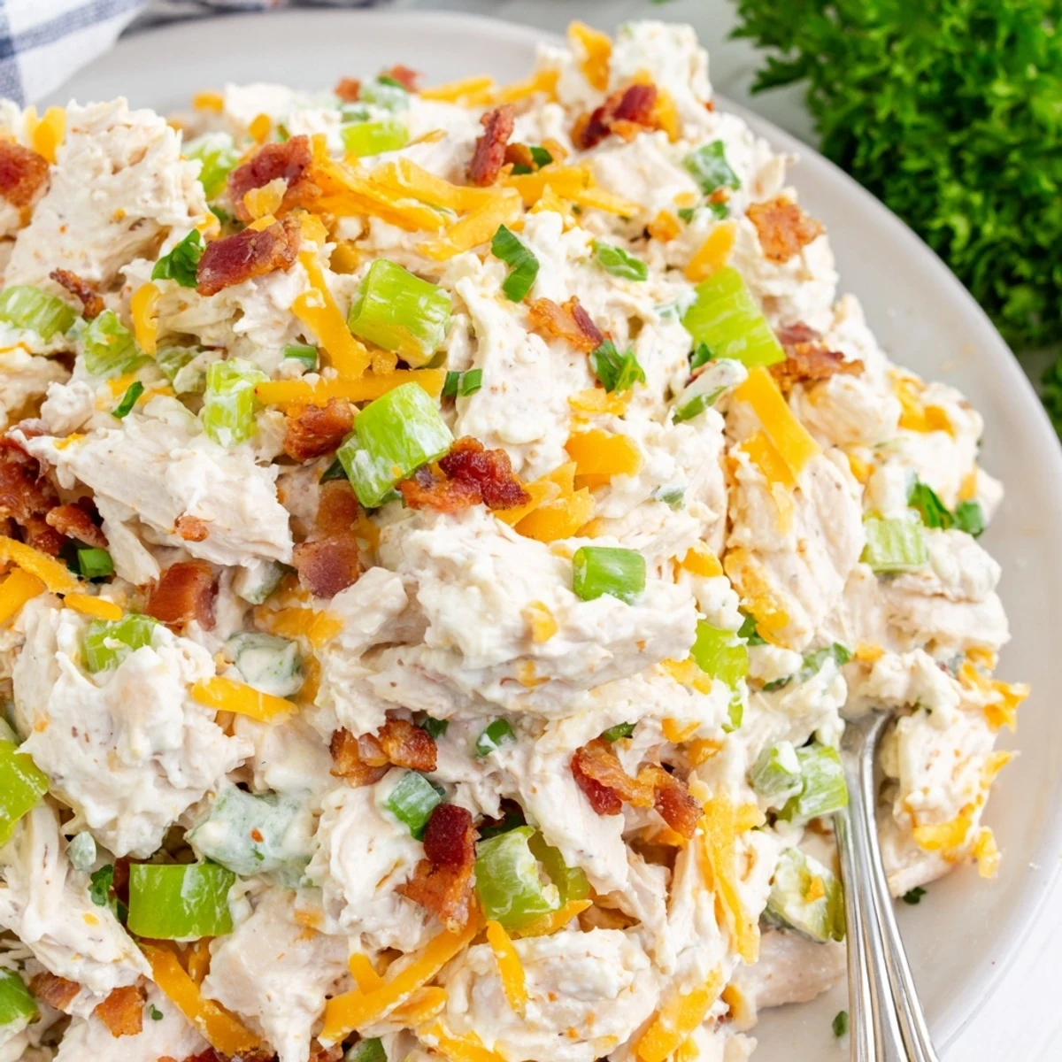 Bowl of zesty low carb jalapeno popper cottage cheese chicken salad topped with fresh parsley