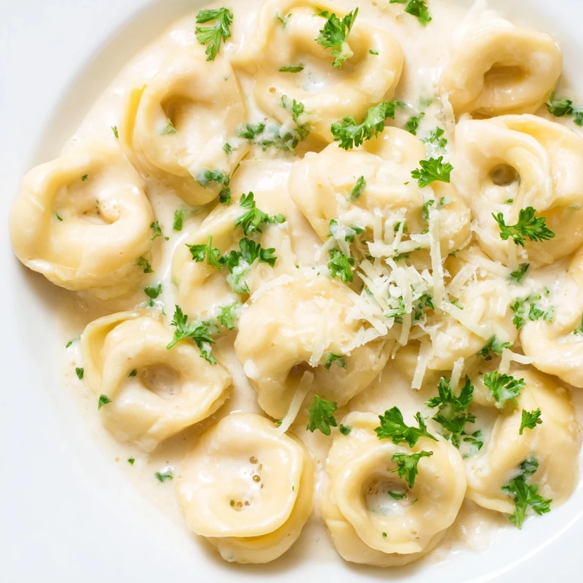 Homemade chicken tortellini floating in a buttery white cream sauce topped with grated Parmesan.  