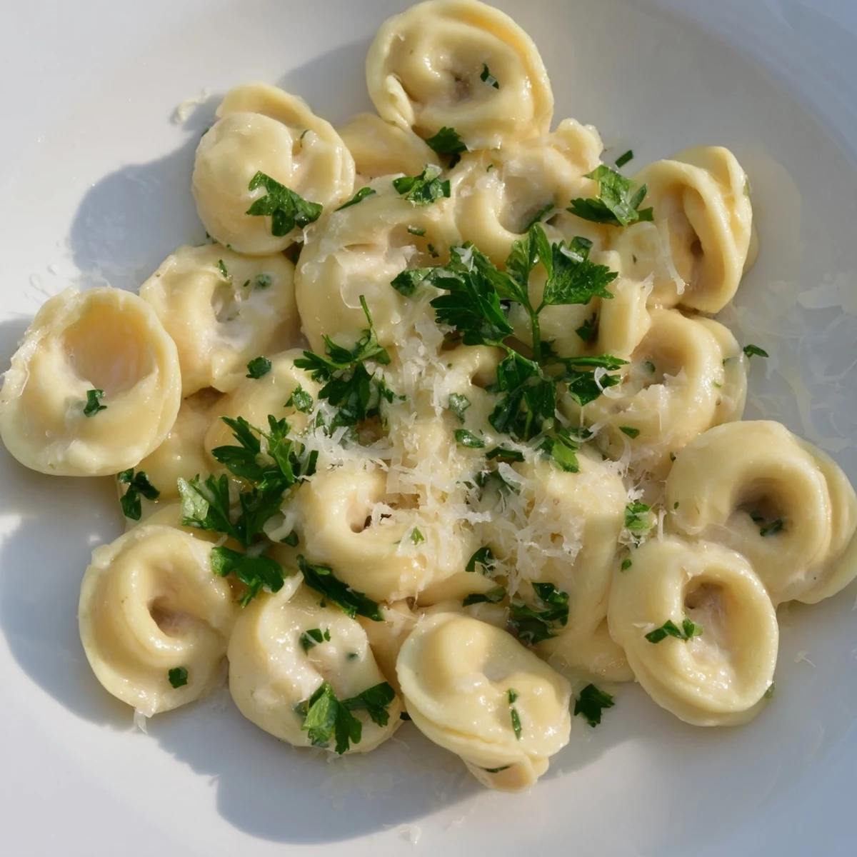 Golden chicken tortellini coated in a rich cream sauce with fresh parsley garnish.  