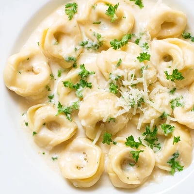 Homemade chicken tortellini floating in a buttery white cream sauce topped with grated Parmesan.  